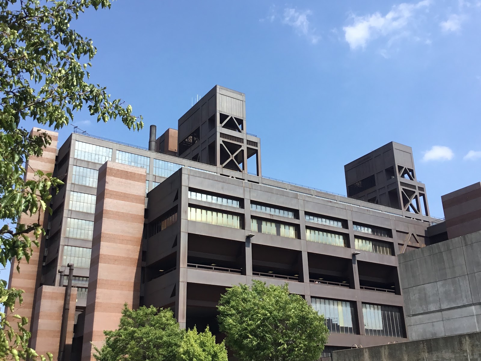 Woodhull Medical Center - Division of Chemical Dependency